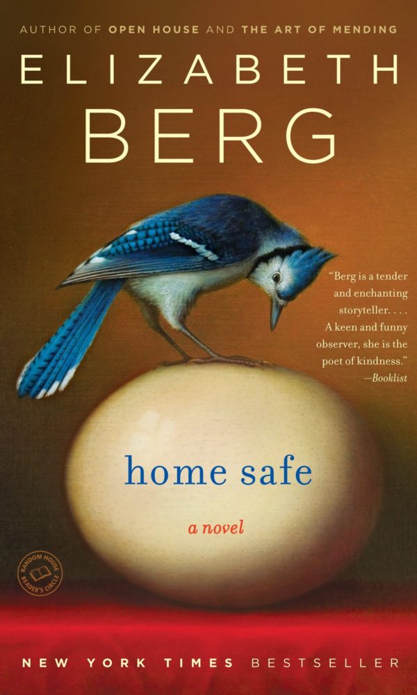 Home Safe Book Cover