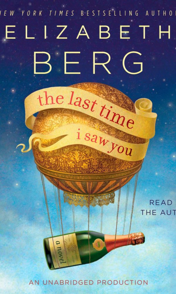 The Last Time I Saw You Book Cover