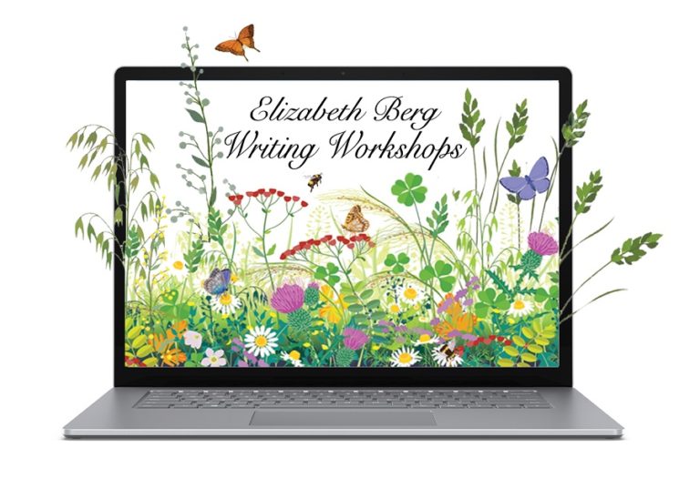 Writing Workshops Elizabeth Berg Writing Workshops Elizabeth Berg